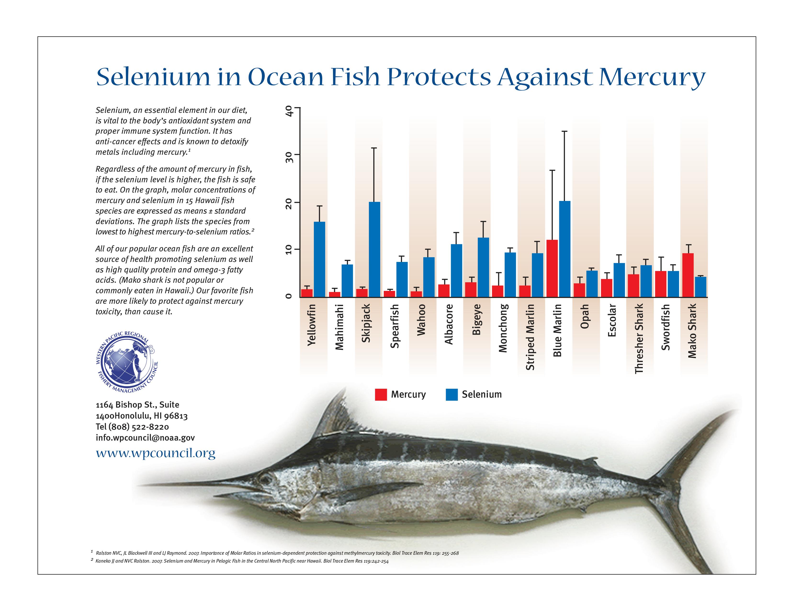 Pesce e Mercurio: come evitare il rischio di tossicità