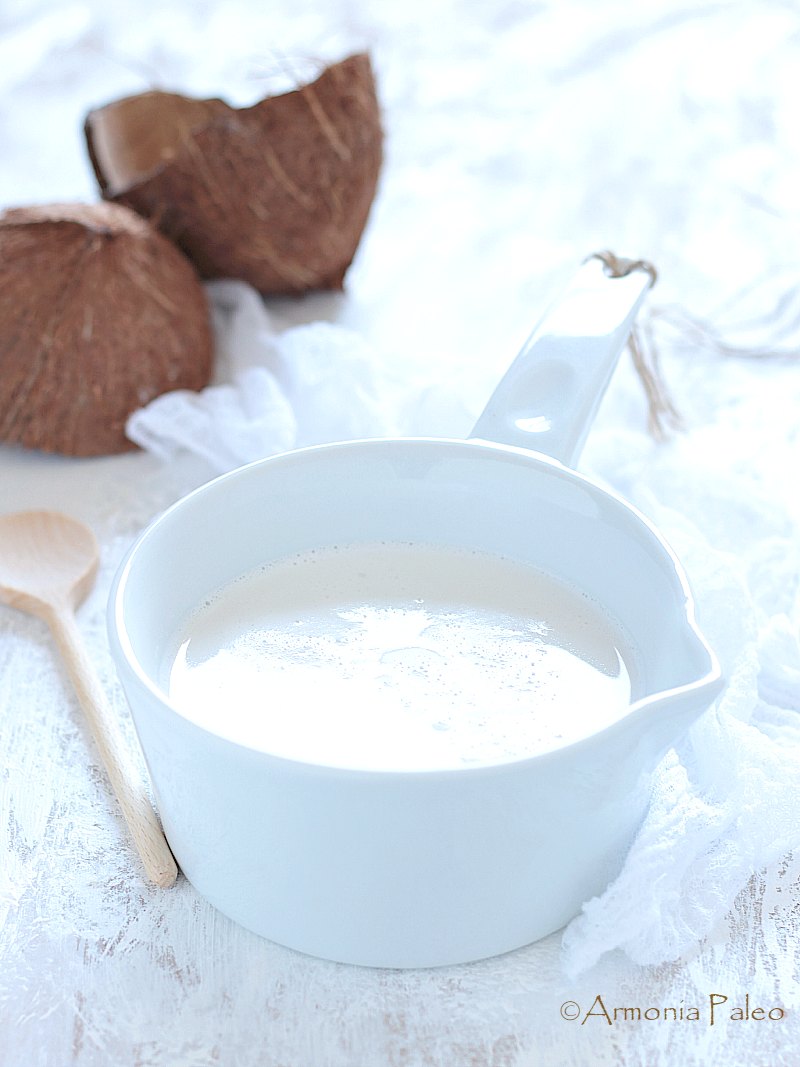 Yogurt Probiotico con Latte di Cocco AIP